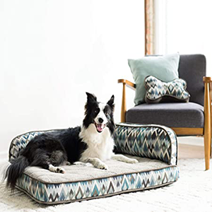 DogBeds and Furniture
